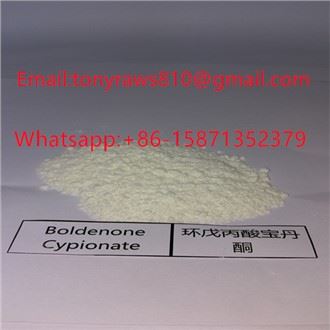 Ster-Oid Raw Bowder Cypiona Bold Untuk Pembaikan Otot