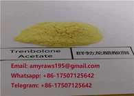 Kesucian Tinggi Kemurnian Steroid Semi Selesai Cecair Trenolon Acetate