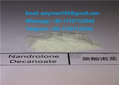 Nandrolone Powder