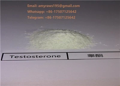 Gudang Di Amerika Syarikat / EU / Kanada / AUS Dengan Bahan Baku Steroid Kualiti Testosteron Undecanoate