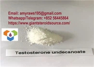 Serbuk Anabolik Testosteron Undecanoate CAS: 5949-44-0 Dengan Harga Berbaloi