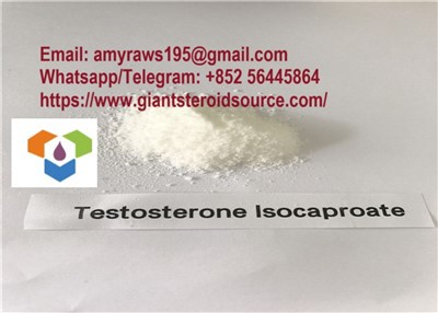 Pembekal Serbuk Steroid Isocaproate Testosteron Mentah 15262-86-9