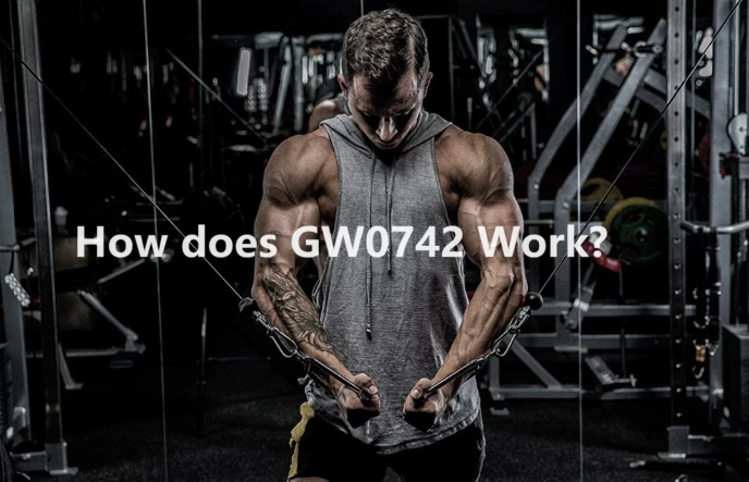 product-688-443 product-688-443
