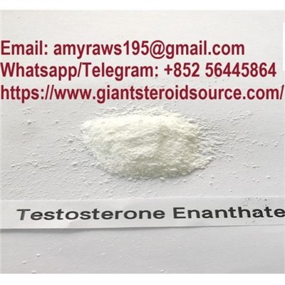Testosteron Enanthate CAS:315-37-7